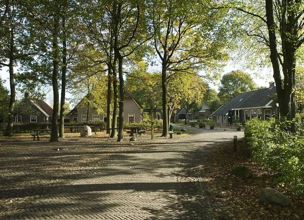 Orvelte: Overzicht, dorpsplein ook wel dorpsbrink - Orvelte - 20420088 - RCE
