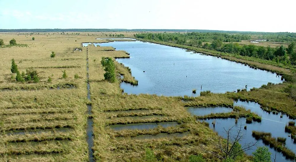 Ravenswoud: Fochtloerveen