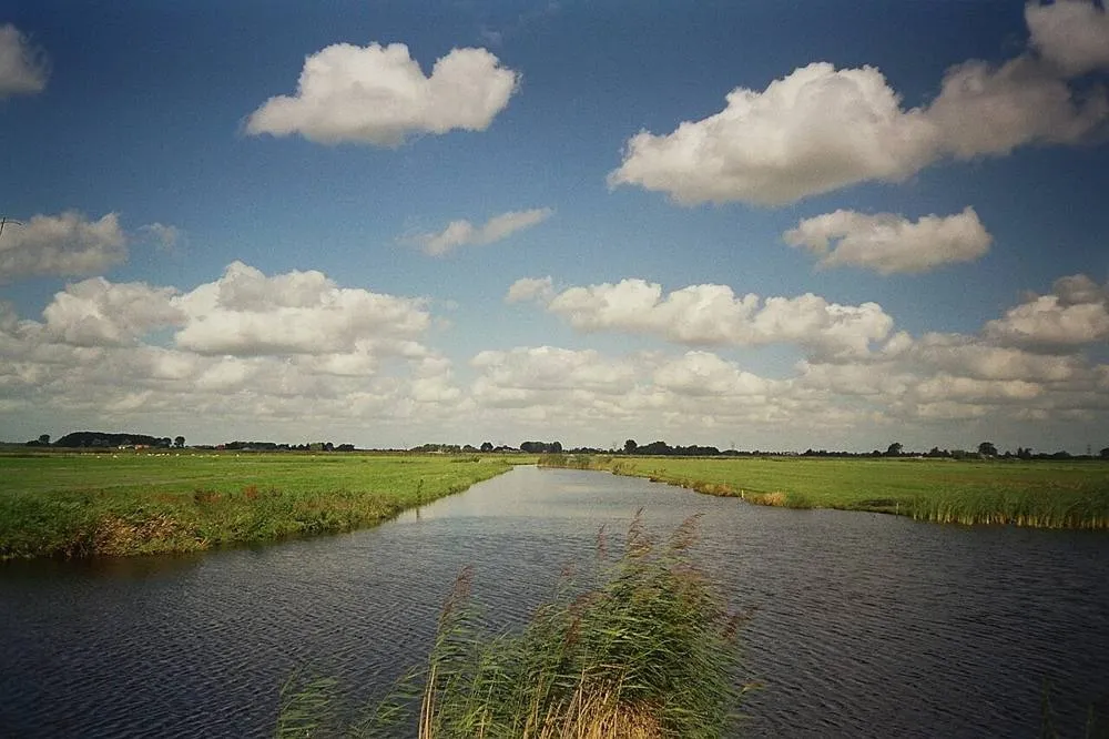 Jisp: Meadows Wormer