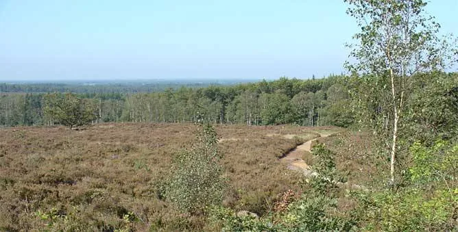 Nijverdal: Sallandse Heuvelrug(1)